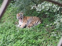 -哈尔滨北方森林动物园