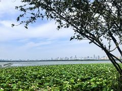 -东湖落雁景区