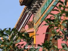 -北京市劳动人民文化宫(太庙)