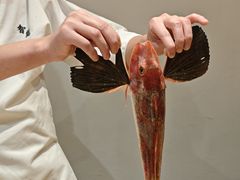 -镹·鱼料理  国产鱼使用店