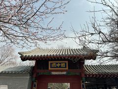 -桃花堤公园