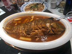 红烧黄河鲤鱼-阿五黄河大鲤鱼(英协路店)