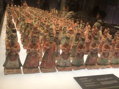 -陕西自然博物馆