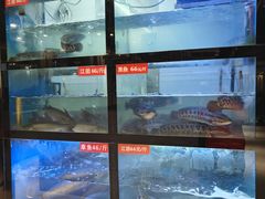 -万和源炝锅城·活鱼现炝(文艺北路店)