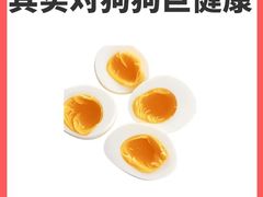 -泰洋动物医院·神经专科·磁共振·CT(天河公园总院)