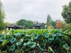-丝绸小镇荻港古村