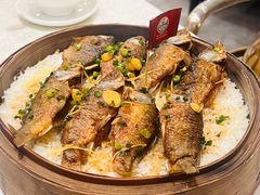 -禾府酒家·传统广府味(番禺店)