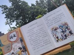 -西双版纳傣族园