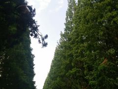 -1点点(中山门大街店)