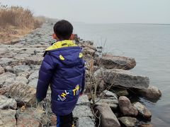 -合肥滨湖国家森林公园