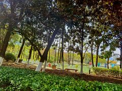 -白塘生态植物园
