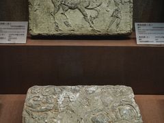 -敦煌市博物馆