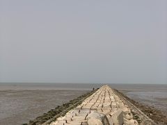 -云南巷海鲜大咖·可加工海鲜