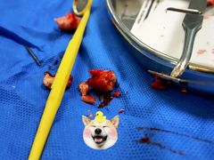 -浙江大学医学院附属第二医院(解放路院区)