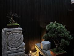 -觀芷隐轩