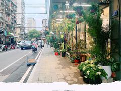 -溪岸路花鸟市场