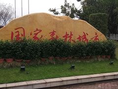 -三水森林公园
