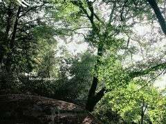 -云洞岩风景区