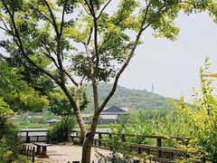 -品渔味湖鲜馆(拈花湾店)