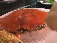 -龙海鲜螃蟹王(宏茂桥店)