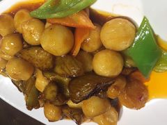 -春熙小馆(乘风庄店)