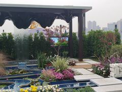 -重庆市江北嘴中央商务区中央公园