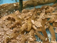 -瓯菜排档·温州海鲜(玕南店)