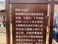 -桃花堤公园