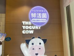 -一只酸奶牛(东方广场店)