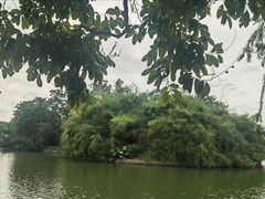 -长洲岛