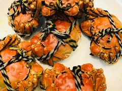 -金典银峰老鹅馆·昆山菜(亭林公园店)