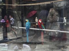 -泉州海丝野生动物世界