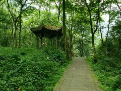 -西岭雪山大飞水景区