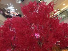 -中影国际影城(西溪印象城CINITYLED店)