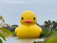 -深圳人才公园