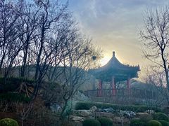 -大连植物园