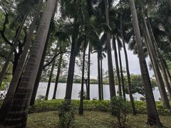 -南宁南湖公园