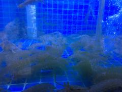 -鼓歌海鲜舫·手抓海鲜(大学城店)