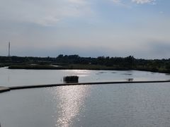 -盐城丹顶鹤湿地生态旅游区