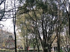 -WeLope紫金山探险公园