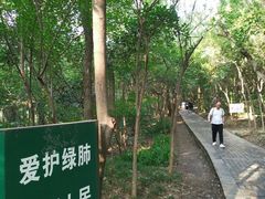 -紫金山山顶公园
