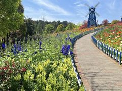 -铁山坪森林公园