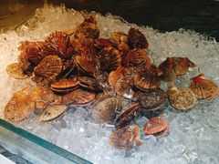 -阳光壹佰美爵酒店-绿洲西餐厅