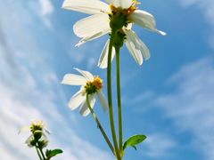 -七星潭蓝天广场