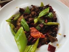 辣子鸡-汤河清真餐馆