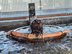 -锦汤山庄温泉