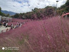 -牛岗山公园