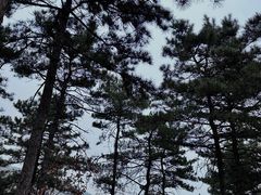 -北京西山国家森林公园