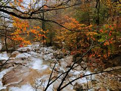 -青峰峡国家森林公园