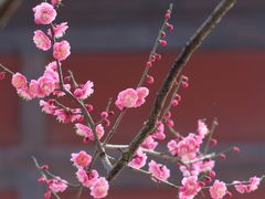 -广富林郊野公园